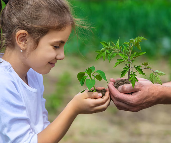Nurturing Nature, Building Future