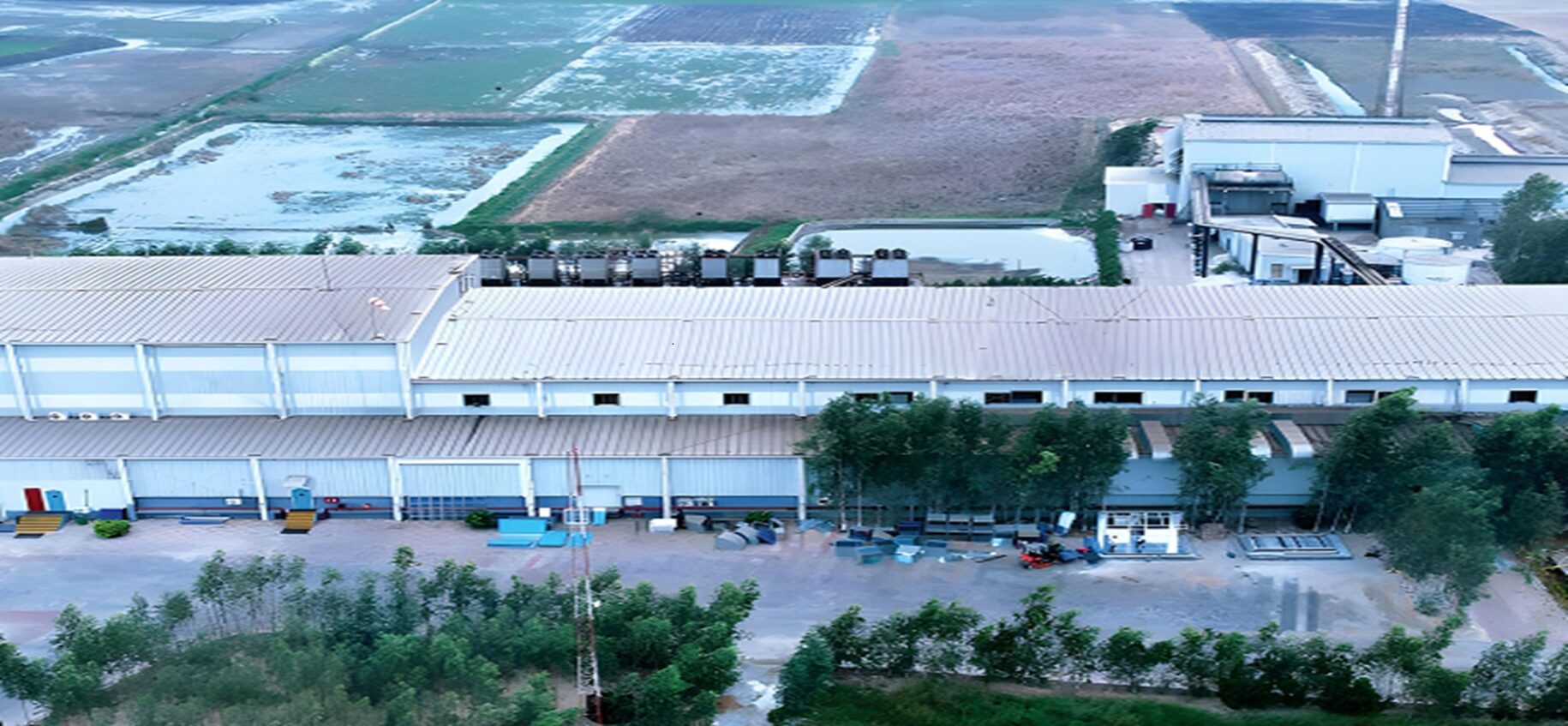 Frozen French Fries - Limbasi, Gujarat Unit
