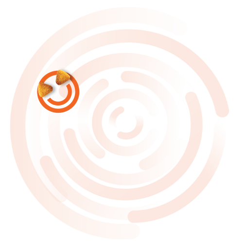 Desktop Bottom Right Background Icon