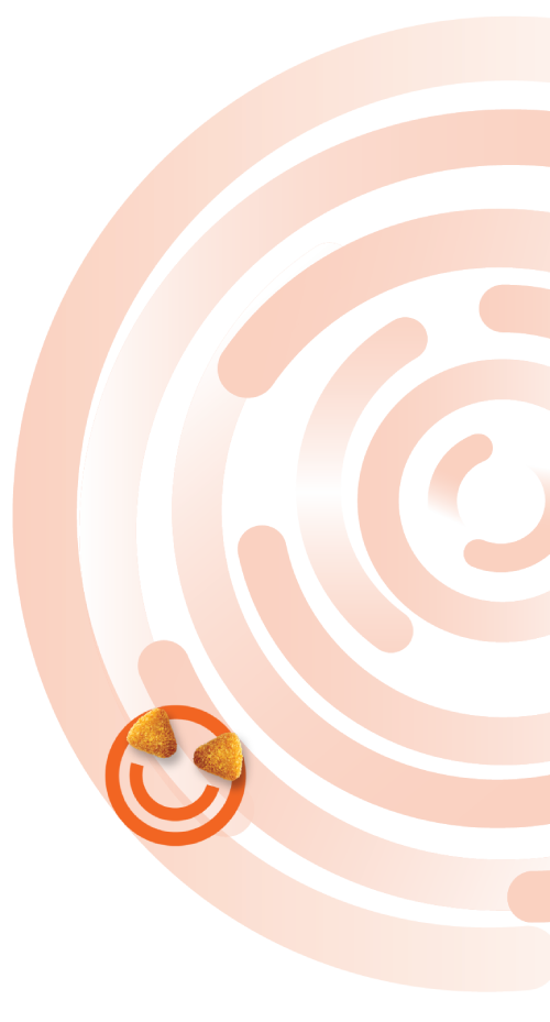 Desktop Top Right Icon